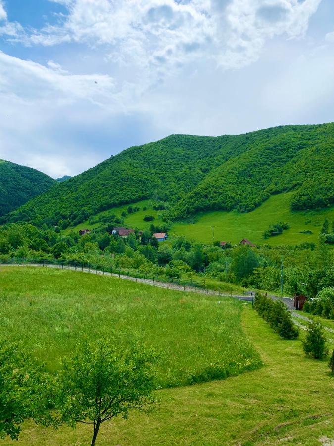 Rustic Cottage Sibiu Dış mekan fotoğraf